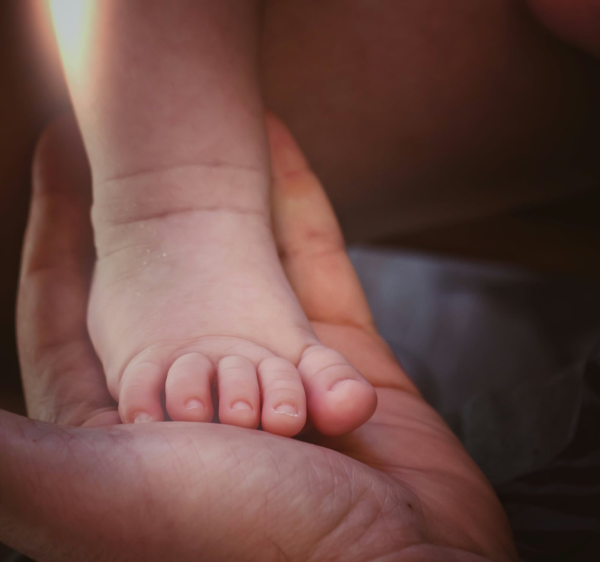 Pied de bébé dans une main